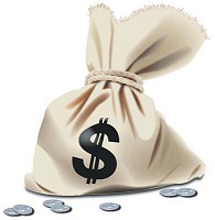 money-bag 2
